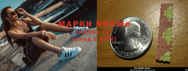 шишки Балахна