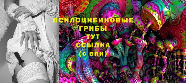 экстази Белокуриха