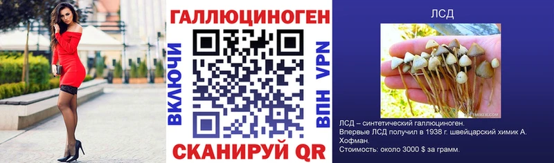 купить наркотики цена  блэк спрут сайт  Галлюциногенные грибы MAGIC MUSHROOMS  Феодосия 